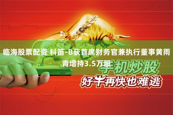 临海股票配资 科笛-B获首席财务官兼执行董事黄雨青增持3.5万股