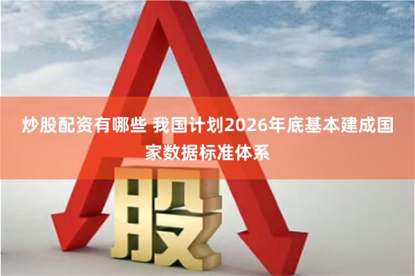 炒股配资有哪些 我国计划2026年底基本建成国家数据标准体系